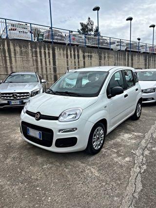 Fiat Panda 1.2 benzina 70cv 2019