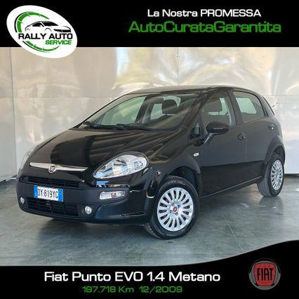 Fiat Punto Evo Punto Evo 1.4 5 porte Dynamic Natural Power