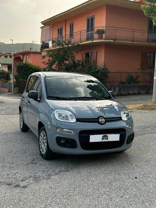 Fiat Panda 1.2 Lounge 12-2019 53000 km