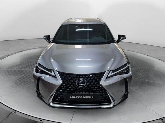 Lexus UX Hybrid Luxury