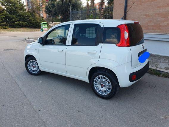 Fiat panda van autocarro 1.3 multijet 95cv s&s anno 2018