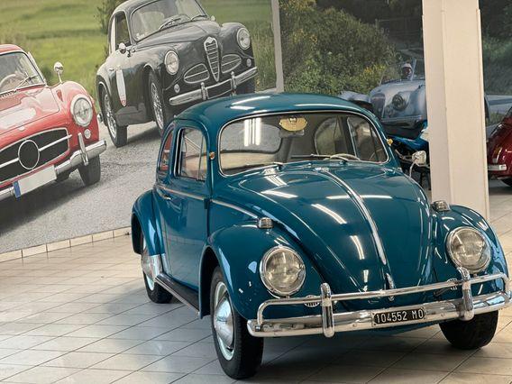 Volkswagen Maggiolino Vers. CORNUTA (vetro piatto) - TARGA ORO