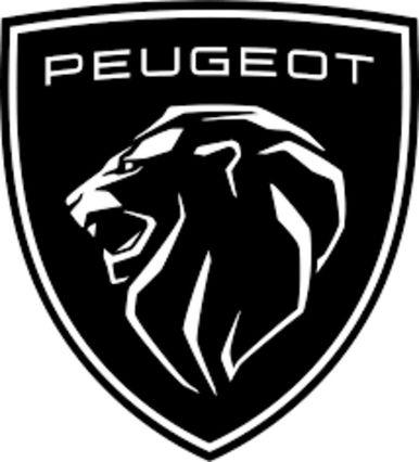 Peugeot 206 Plus Plus 1.1 60CV 3p. Urban ECO GPL CONSUMA OLIO MOTORE 338.7575187 MASSARI MARCO