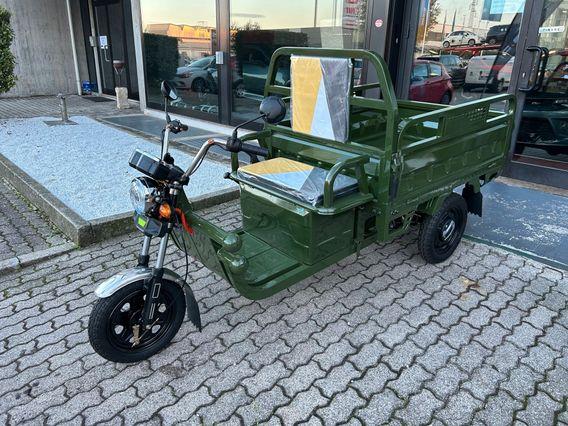 Triciclo Scooter 3 ruote 100% Elettrico ribaltabile Furgone
