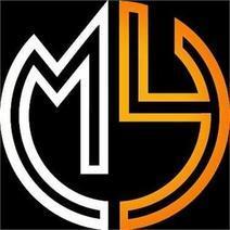 M.Y. luxury & motors srl